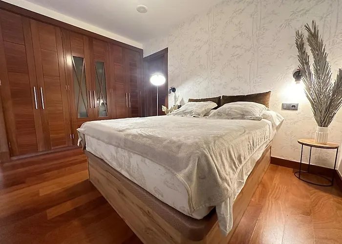 Apartament Rua Areal, 16 Con Parking Gratis By Ybh *